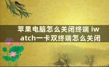 苹果电脑怎么关闭终端 iwatch一卡双终端怎么关闭